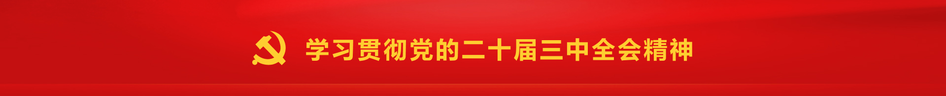 学习贯彻党的二十届三中全会精神