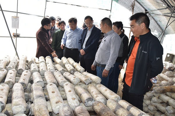 市总工会组织开展脱贫攻坚驻村帮扶学习观摩 (3).JPG