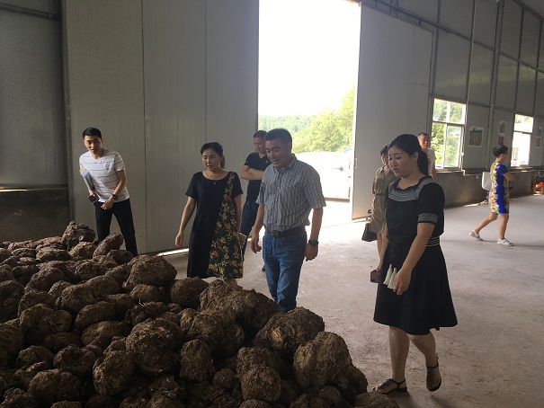市总工会领导深入招商引资企业调研指导工作 (2).JPG