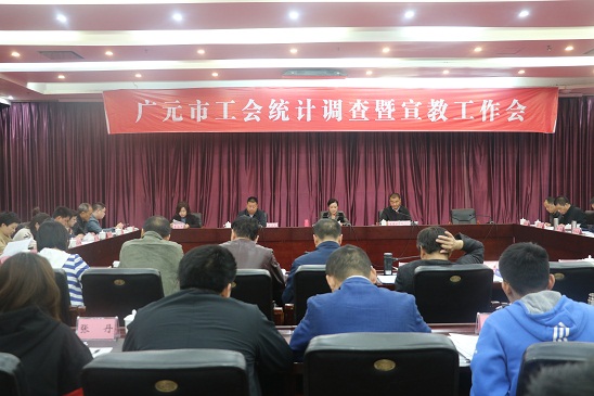 2018统计调查工作会 (1).JPG